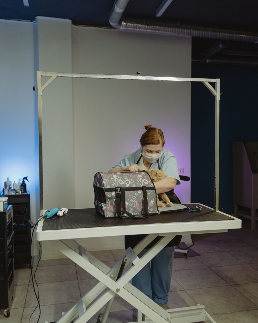 The grooming floor, a dog on the table under the arm