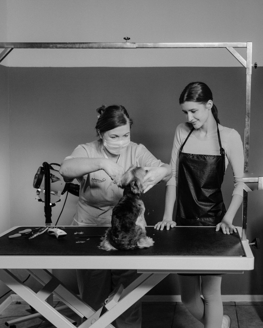 An instructor guiding a student at the grooming table